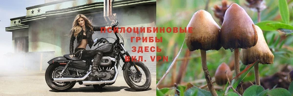 альфа пвп Новокубанск