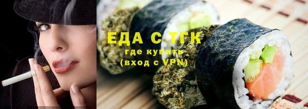 индика Новодвинск