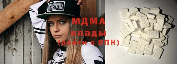 индика Новодвинск
