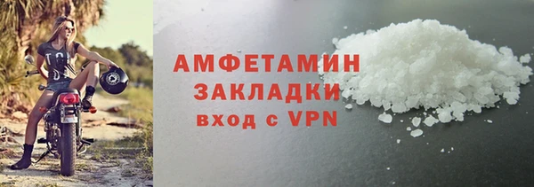 индика Новодвинск