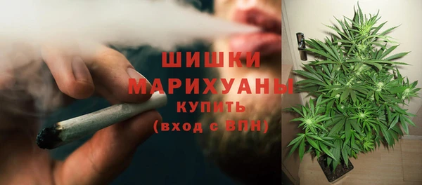 марки nbome Новозыбков