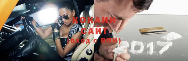 индика Новодвинск