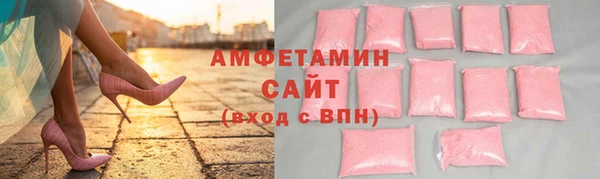 индика Новодвинск