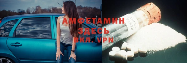индика Новодвинск