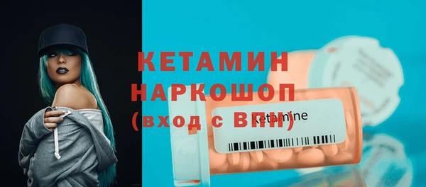 индика Новодвинск