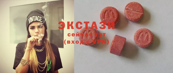 сатива Няндома