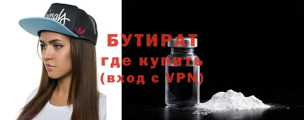 индика Новодвинск