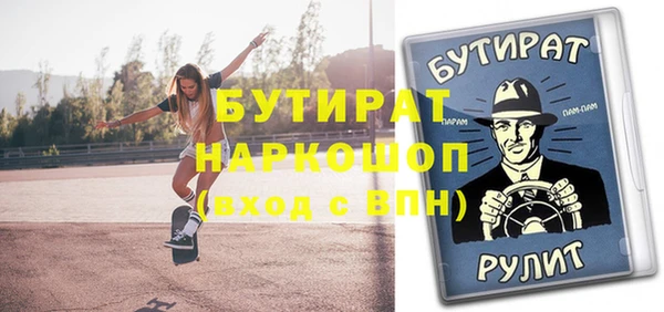 индика Новодвинск