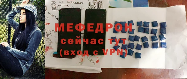индика Новодвинск