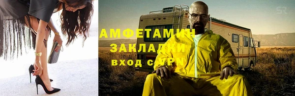 сатива Няндома