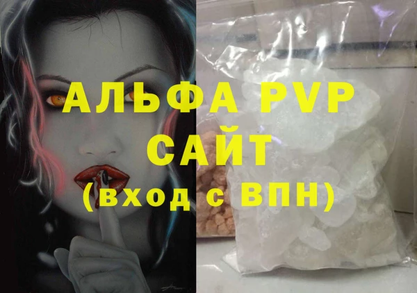 индика Новодвинск