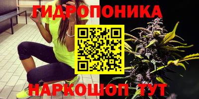 ПСИЛОЦИБИНОВЫЕ ГРИБЫ Кунгур