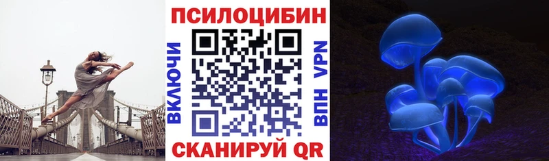 Псилоцибиновые грибы GOLDEN TEACHER  OMG ССЫЛКА  Санкт-Петербург 