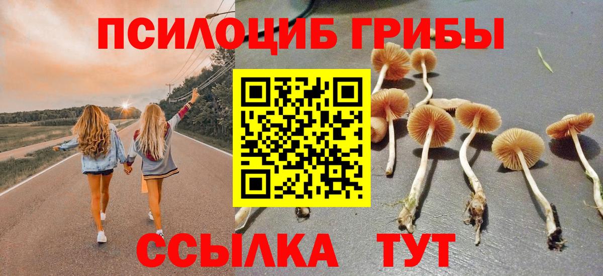 Санкт-Петербург  Псилоцибиновые грибы Cubensis  Псилоцибиновые грибы мухоморы  Вход с VPN 